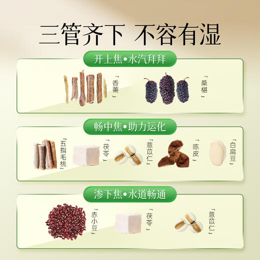 【广电专属】福牌阿胶五指毛桃伏湿膏220g茯苓膏清养膏官方正品 商品图3