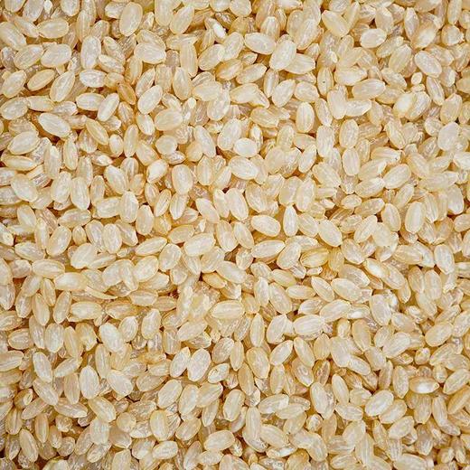 糙米 500g 商品图0