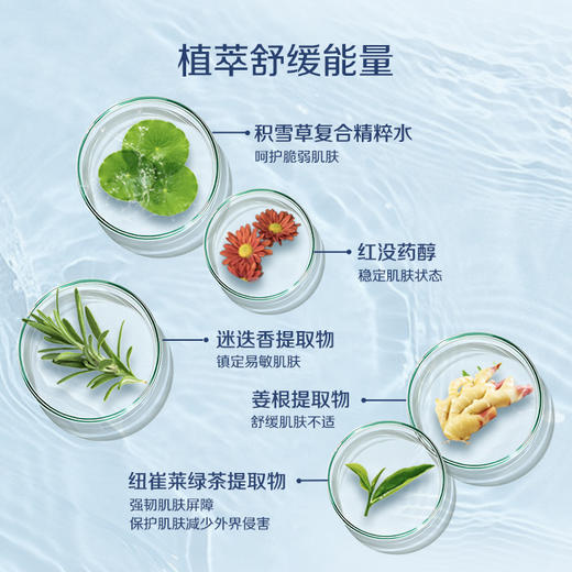 雅蜜清爽香体走珠止汗露/白茶越橘萃取/清洁收敛滋养可用1年 商品图5