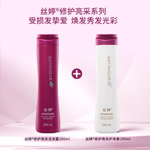 丝婷修护亮采洗发露280ml/适用染烫受损发质/修护发芯/防止分叉/9倍强韧/抵御紫外线 商品图5