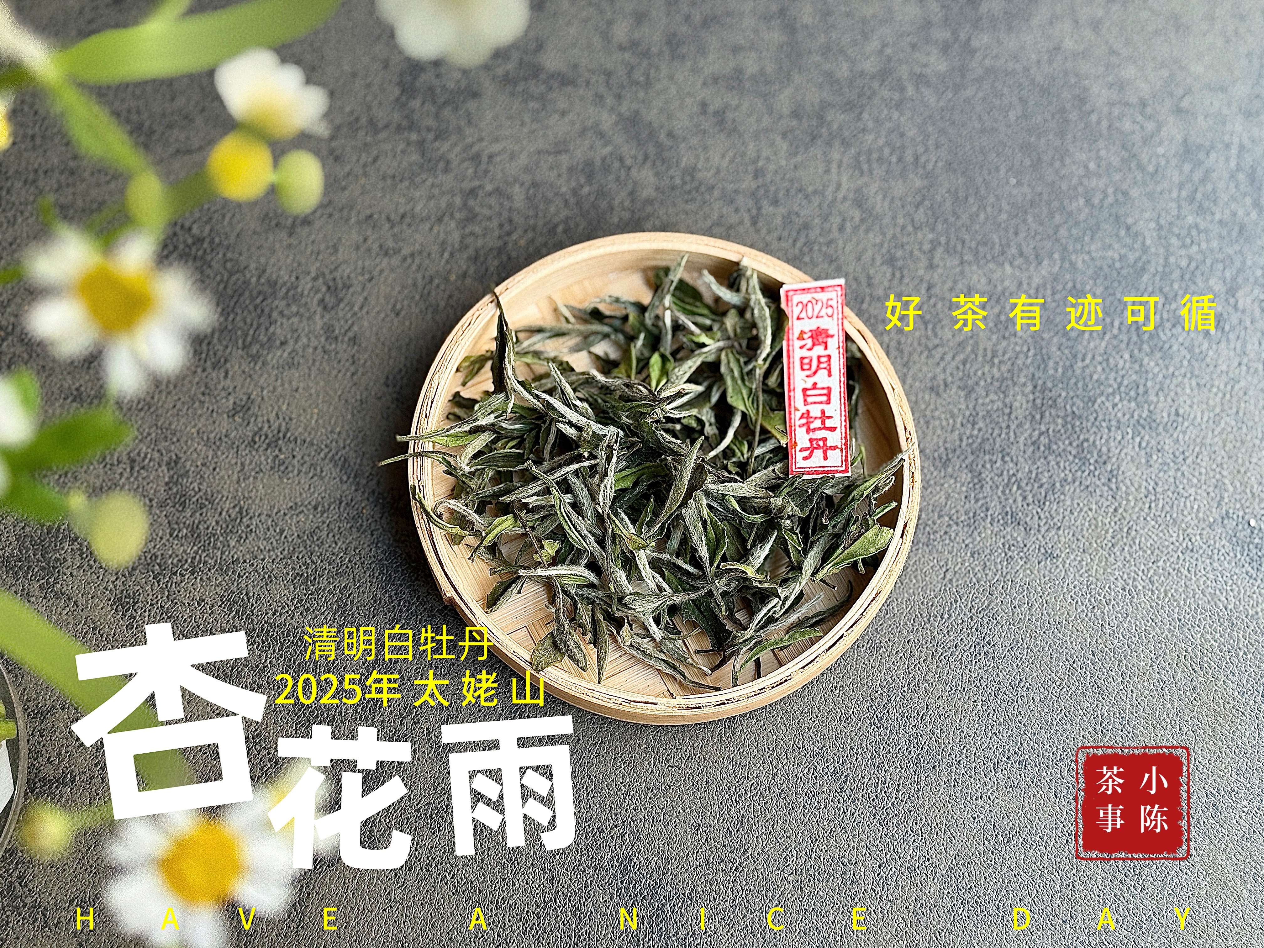 【新茶上市】2025清明白牡丹，春茶复购率排行第一的白茶，汤水花香盈盈，清鲜甘淳，美不胜收（一斤收藏装）