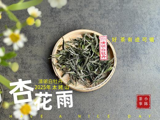 【新茶上市】2025清明白牡丹，春茶复购率排行第一的白茶，汤水花香盈盈，清鲜甘淳，美不胜收（一斤收藏装） 商品图0