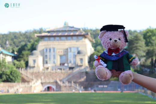 武大珞珈毕业小熊 商品图12