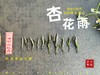 【新茶上市】2025清明白牡丹，春茶复购率排行第一的白茶，汤水花香盈盈，清鲜甘淳，美不胜收（一斤收藏装） 商品缩略图1