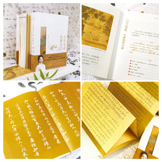 人生不必太用力 庄子的人生哲学  焦虑内卷自救指南 走出焦虑人生 商品图1