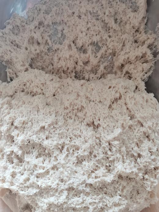 合作产品/  自然酵母 （全国包邮） 商品图7