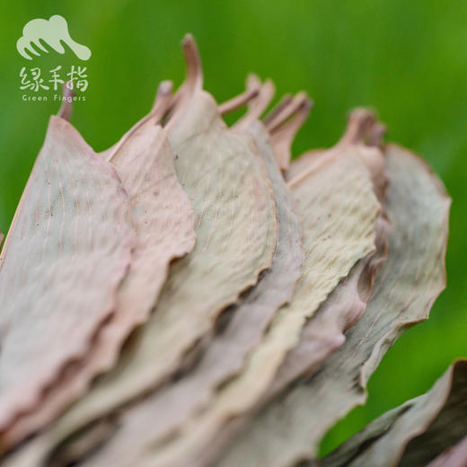 生态干粽叶  |合作生产* Ecological Dried Cast Leaves  | Coproduction 商品图2