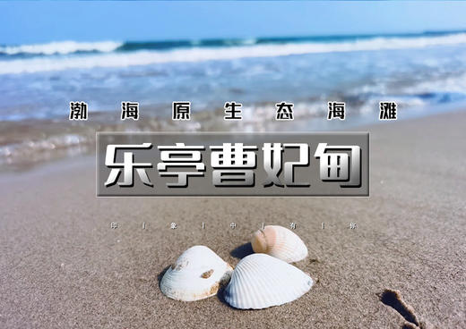 端午2天｜乐亭曹妃甸｜京郊版孤独的鲸の200多公里外的小众海滩-乘船出海捕鱼-多玛乐园摸鱼-滦州古城打卡 商品图0