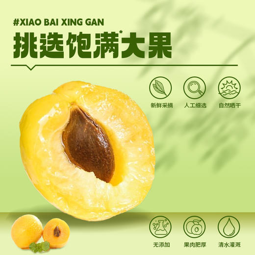 杏宝·小白杏干·258g*2  一杏两吃 配料只有杏干 商品图2