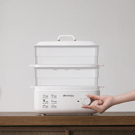 山水（SANSUI）10L多功能双层电蒸锅SZG10