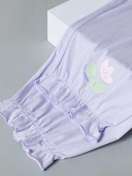 【繁花似锦莫代尔】SCHIESSER德国舒雅女童繁花似锦系列莫代尔面料短袖七分裤套装3F/24360H 商品图4