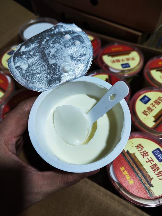 奶皮子酸奶  简约配方 单杯发酵  老北京的传统工艺 商品图3