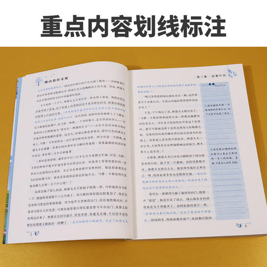 爱德少儿大语文·新阅读经典书系名著阅读小学 商品图9