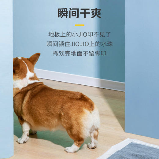 【双11囤粮热卖】疯狂小狗宠物竹炭尿片尿垫狗狗尿不湿吸水加厚囤货装 商品图3