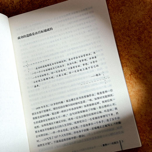 教师如何快速成长 专业发展六大素养 大夏书系 教师专业发展丛书 商品图9