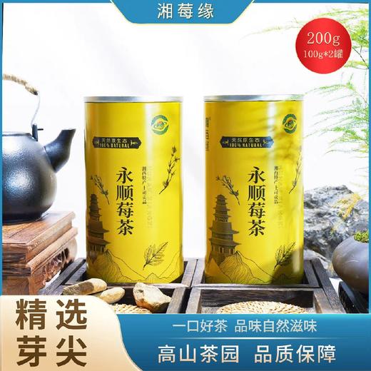 莓茶永顺张家界特级野生湖南藤茶芽尖100g/罐*2 商品图0