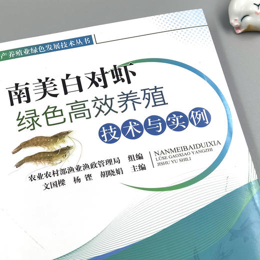 南美白对虾绿色高效养殖技术与实例 商品图1