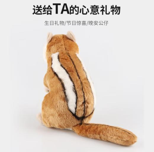 国家地理毛绒玩具动物玩偶礼盒花栗鼠纪念款 商品图2