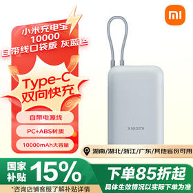 小米（MI）小米充电宝移动电源 10000  自带线双向快充口袋版 电源 灰蓝色