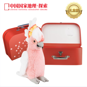 中国国家地理·探索仿真动物毛绒玩偶凤头鹦鹉金刚鹦鹉玩具礼盒装生日礼物 凤头鹦鹉28cm 礼盒装
