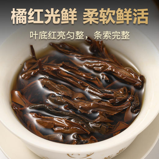 凤宁号【滇红庄园红罐】经典大分量口粮茶 商品图4