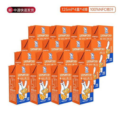 北冰洋100%NFC 桔汁125ml*4 商品图3