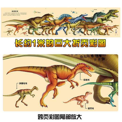 5册恐龙书儿童绘本恐龙书大全幼儿恐龙翻翻书恐龙介绍书世界侏罗纪时代儿童恐龙书画册儿童认恐龙书大全景恐龙大百科普书 商品图3