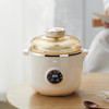 山水（SANSUI）1.2L多功能电炖锅SDZ-19S 商品缩略图0