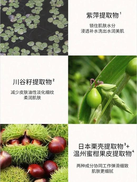 雪花秀Sulwhasoo 顺行柔和洁颜泡沫 200ml 商品图2