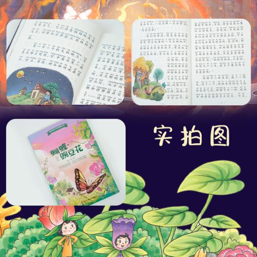《蝴蝶豌豆花 -金波著》小学课外阅读推荐书目 商品图4