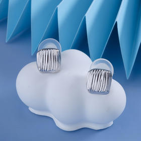 【宏艺珠宝】林叶脉语·银s925耳饰