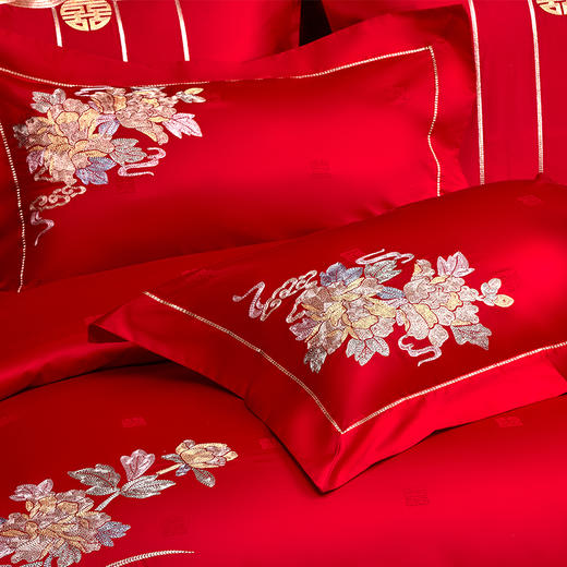 多喜爱 60S全棉提花刺绣八件套 喜从花开【拉杆行李箱包装】【60S全棉提花】【盘金刺绣】【立体提花工艺】高支高密 国风婚嫁 中式美学 色泽亮丽 手感细腻 织物柔软 商品图7