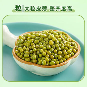 十月稻田 绿豆 2斤 (可发豆芽 打豆浆 东北 五谷 杂粮 粗粮 真空大米伴侣) /粮油调味 /杂粮 /杂豆类 商品图1