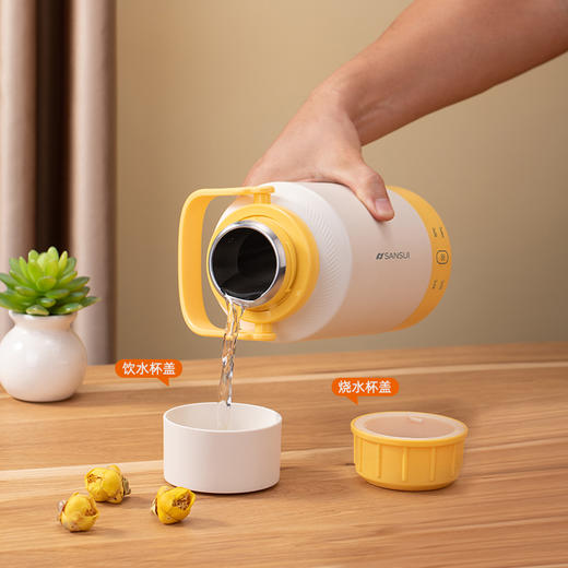 山水（SANSUI）便携电热水杯YY-10B39 商品图2