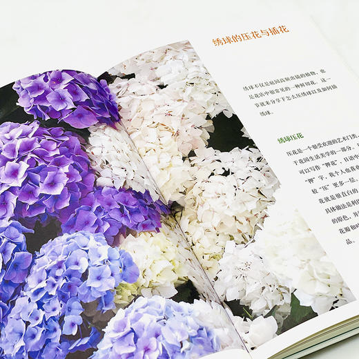 《花园生活美学》  蔡丸子 著 商品图7