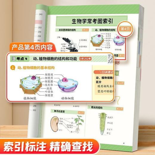 趣味速记【初中小四门（生物地理历史道法）一本全】【初中数理化一本全】考点及公式定律突破中考基础知识速记 商品图4