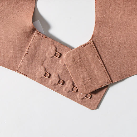 丁摩新款真丝无痕女文胸桑蚕丝无钢圈内衣大胸显小舒适透气胸罩AL300147 商品图3