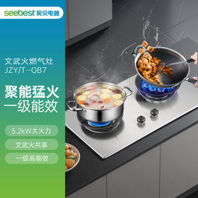 JZYT-QB7 燃气灶