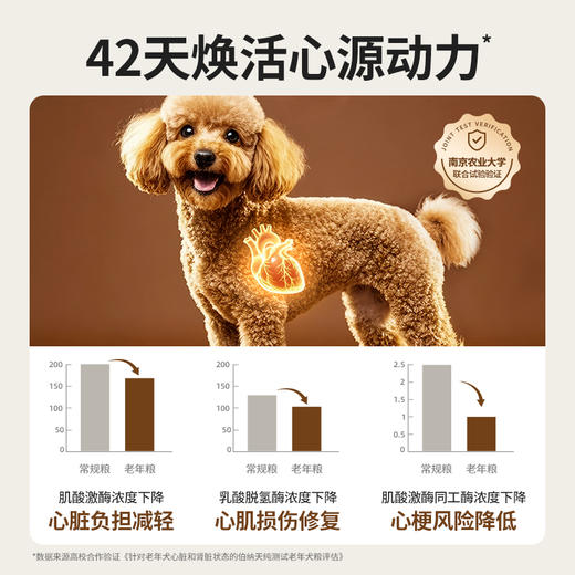 伯纳天纯旗舰老年犬狗粮柯基雪纳瑞小型中大型犬全价老年期专用狗粮12+ 商品图2