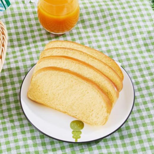 嘉顿四片装排包100g/袋 商品图1