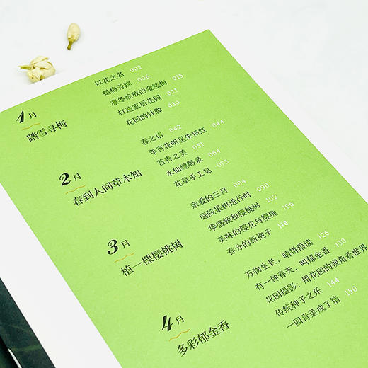 《花园生活美学》  蔡丸子 著 商品图3