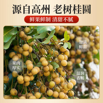 小茵姑娘龙眼肉桂圆干250g 无核免剥高州桂圆肉大果肉厚 煲烫泡水滋补干货 /粮油调味 /南北干货 /果茎食补干货 商品图1