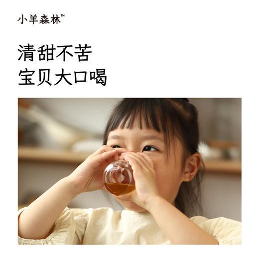 「桃苓玉屏膏」 源自古方 呼吸畅通 不怕换季 过敏 商品图4