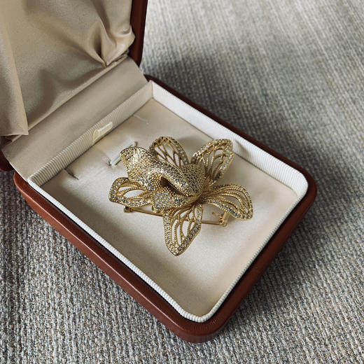 中古风复古胸针(非质量问题不退不换 商品图2