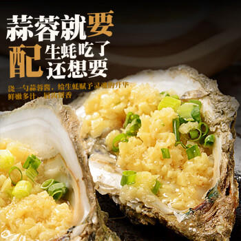 臻鲜原味蒜蓉酱拌面酱蒜泥蒸扇贝烧烤生蚝小龙虾火锅蘸碟蘸料210g /粮油调味 /调味品 /中式酱料 商品图7