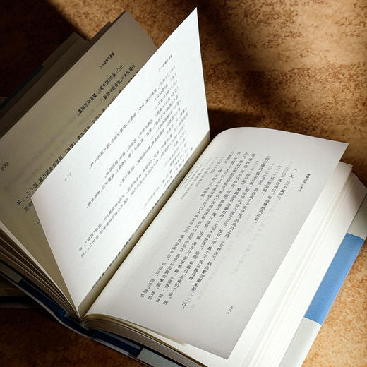 陈检讨四六笺注 上中下三册 清代别集丛刊 陈维崧骈文集笺注本 商品图12