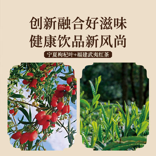 正山堂 宁夏枸杞红茶礼盒装 骏眉中国正宗武夷高香红茶枸杞叶茶送礼 商品图2