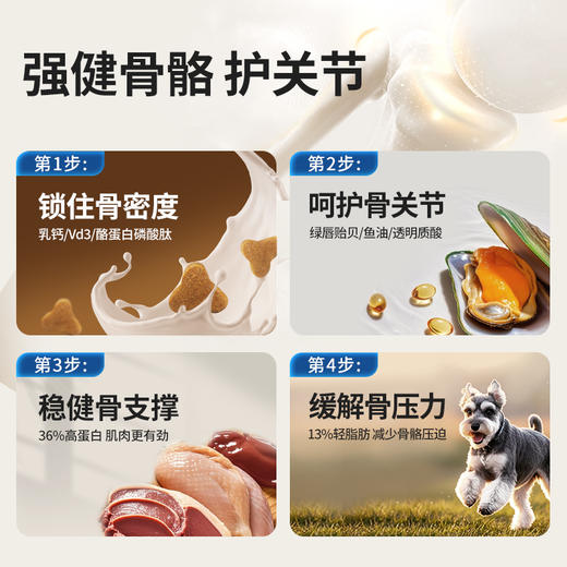 伯纳天纯旗舰老年犬狗粮柯基雪纳瑞小型中大型犬全价老年期专用狗粮 商品图1