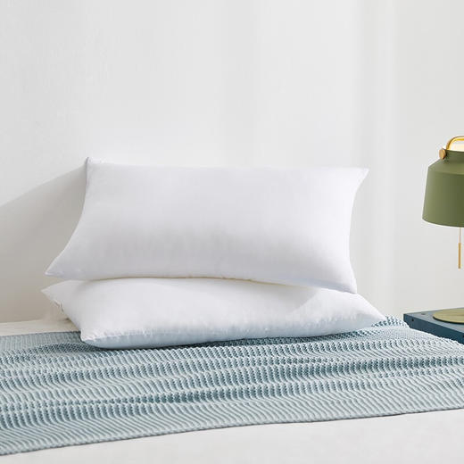 【多样屋专柜】罗莱防螨安睡对枕 颈椎枕五星酒店枕舒眠安睡柔丝枕头47*73cm 商品图0