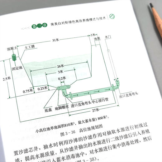 南美白对虾绿色高效养殖技术与实例 商品图3